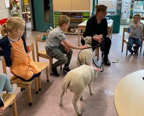 Pim en Pom (1)