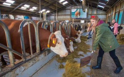 10 jaar boerderij educatie