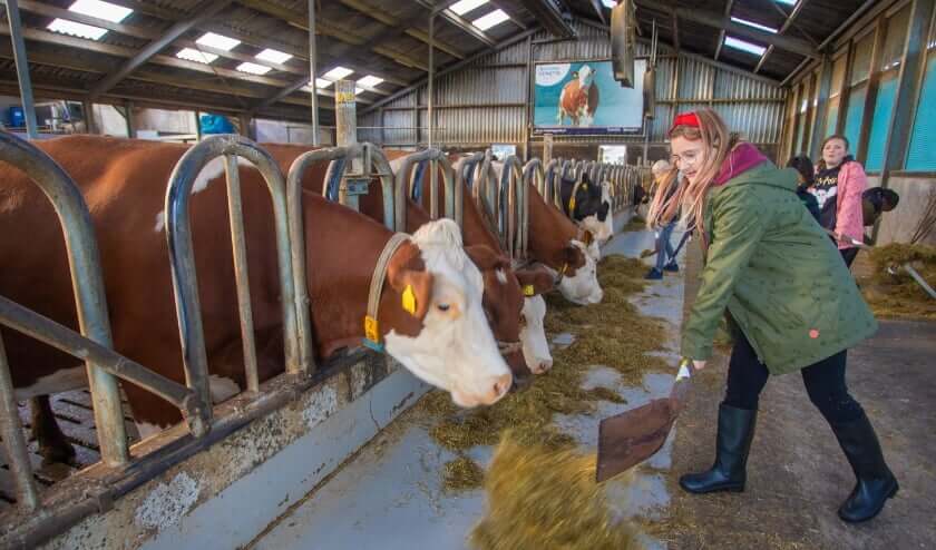 10 jaar boerderij educatie